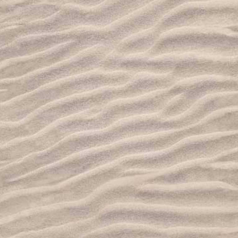 1111076117 Bej Proje Halısı