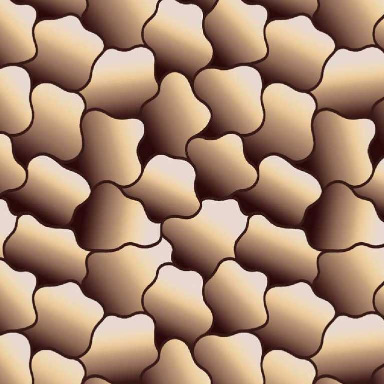 1211217017 Bej Proje Halısı