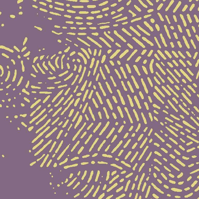 1212751027 Desenli Proje Halısı