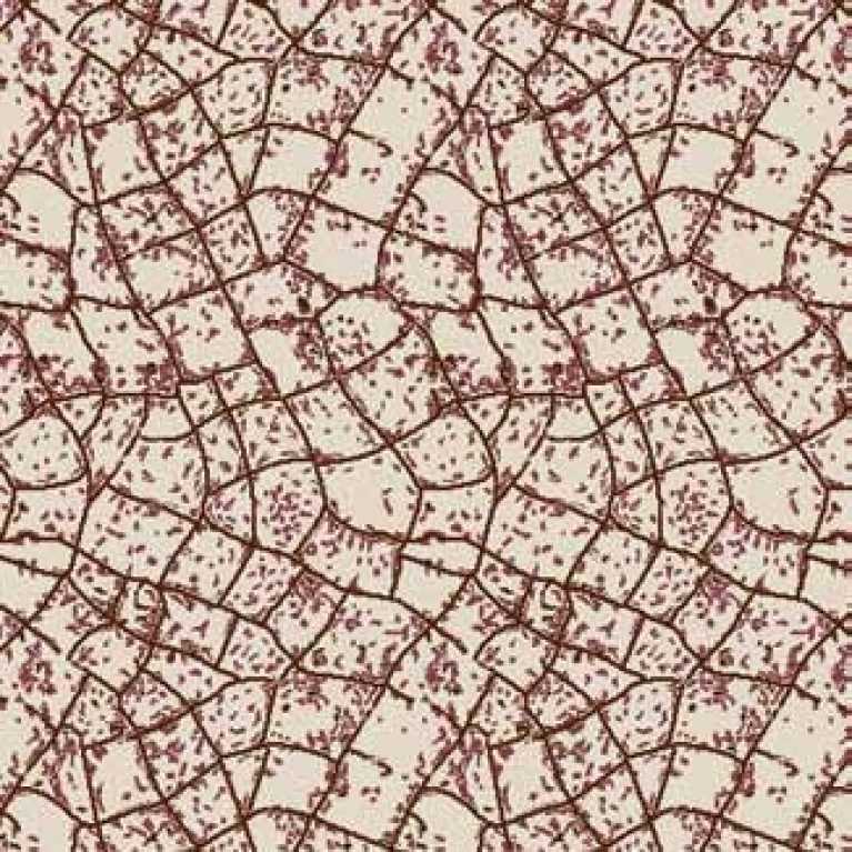 S09 020 - 04 Kahverengi Hotel Halısı