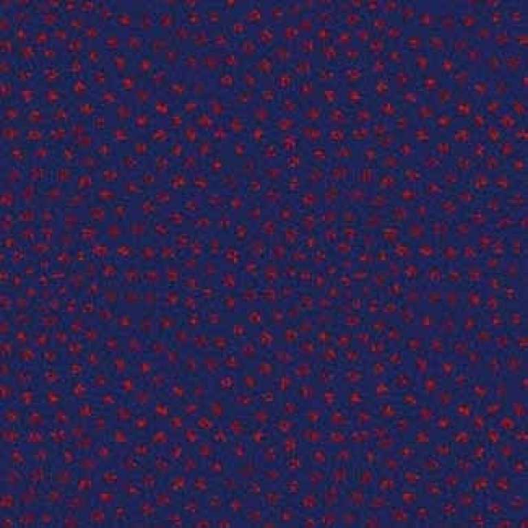 S10 203 - 01 Koyu Lacivert Hotel Halısı