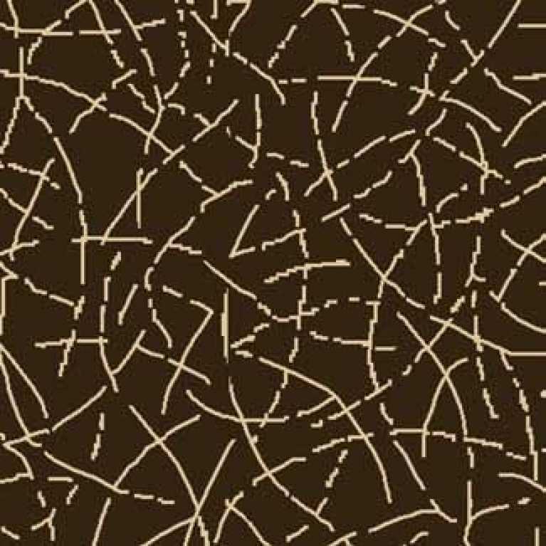 S11 095 - 01 Kahverengi Otel Halısı