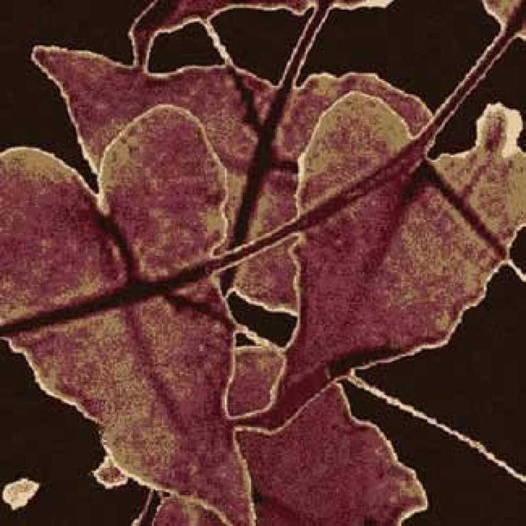 S11 206 - 02 Siyah Otel Halısı