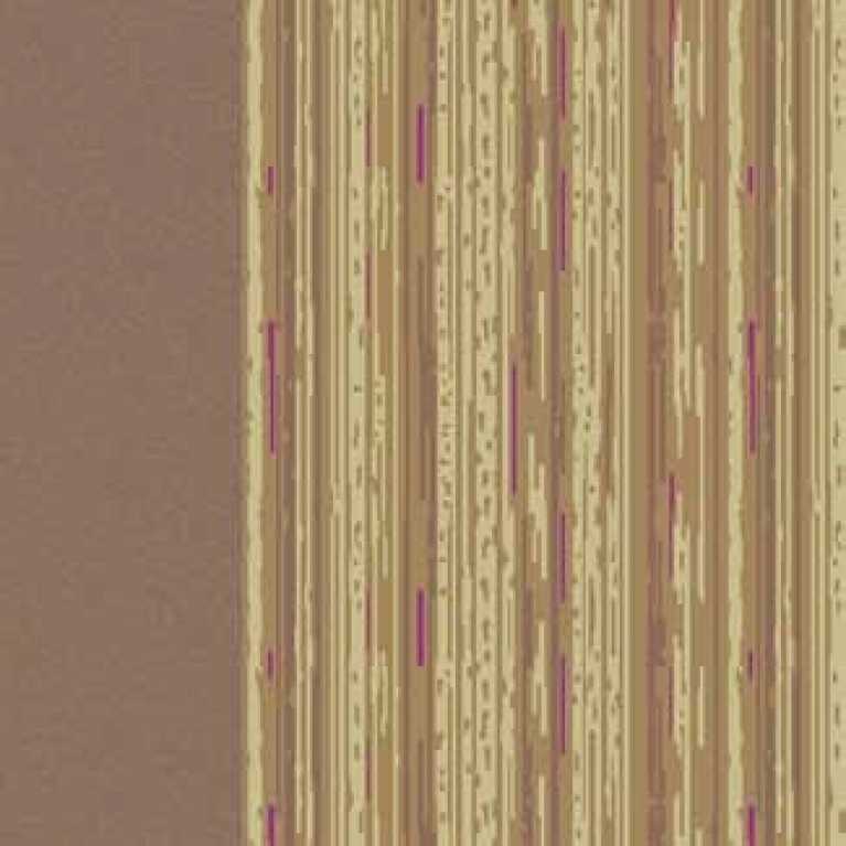 S11 230 - 01 Kahverengi Otel Halısı