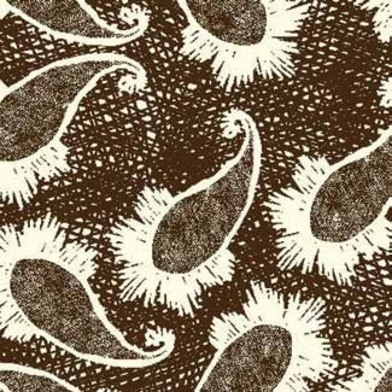 Samur SD (4) Kahverengi Desenli Otel Halısı