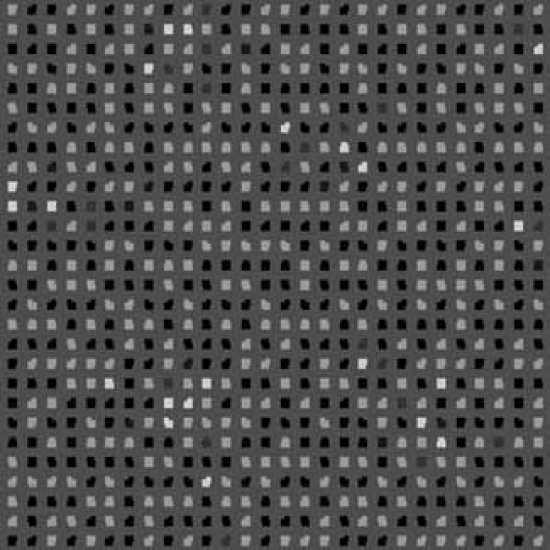 Garden Extra Tufting Otel Halısı