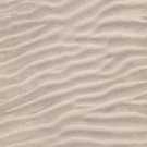 1111076117 Bej Proje Halısı