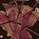 S11 206 - 02 Siyah Otel Halısı