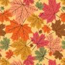 Samur SD (249) Renkli Desenli Otel Halısı